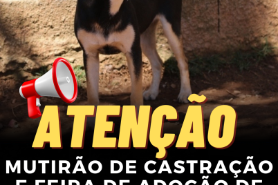 Mutirao-de-Castracao-e-Feira-de-Adocao-de-Animais-sera-realizado-nos-dias-1_20250306_192639_0000.png