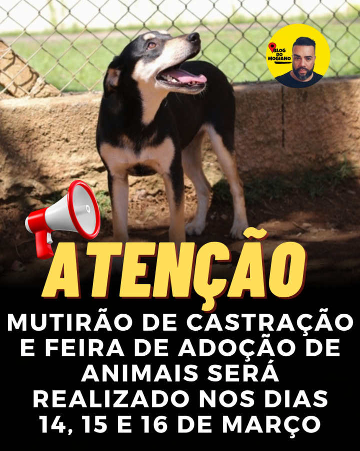 Mutirao-de-Castracao-e-Feira-de-Adocao-de-Animais-sera-realizado-nos-dias-1_20250306_192639_0000.png