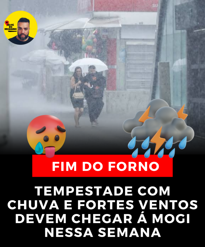 fim-do-forno_20250122_151137_0000.png
